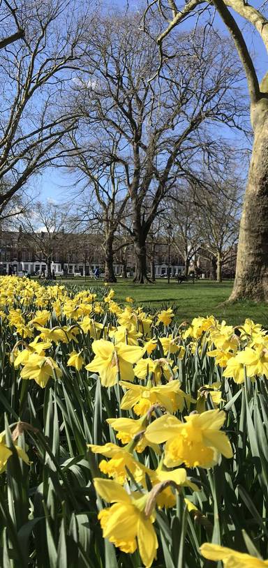 Preview of TfL20 Fulham Amble