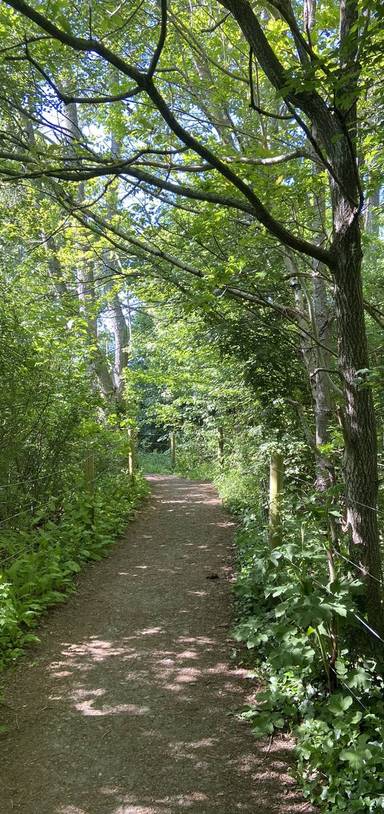 Preview of The Hoopern Valley Walk - Clockwise