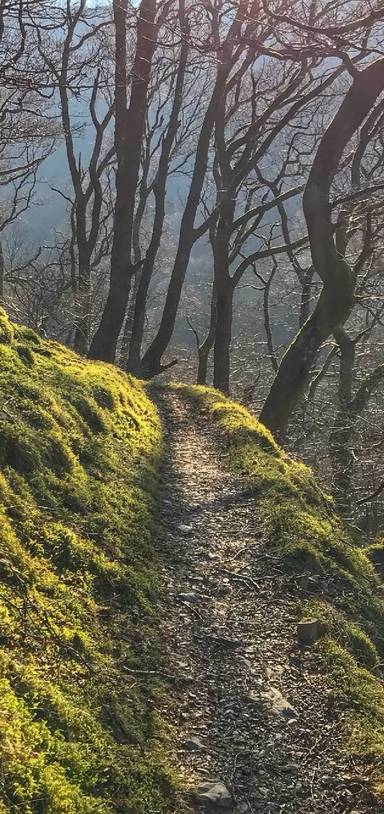 Preview of Discover Twm Siôn Cati's Cave