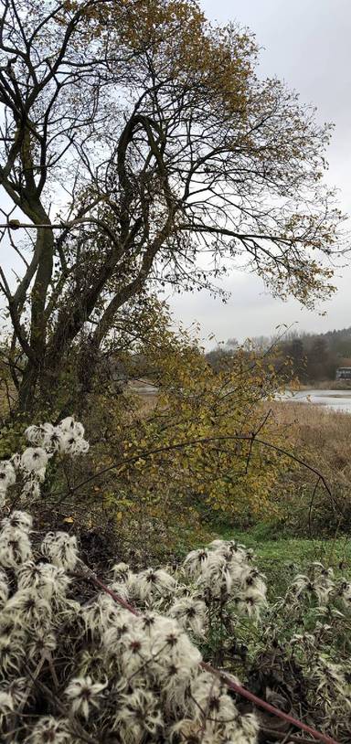 Preview of Amwell Nature Reserve