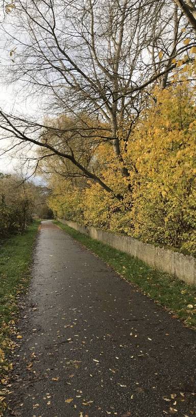 Preview of River Witham and West Common Wander