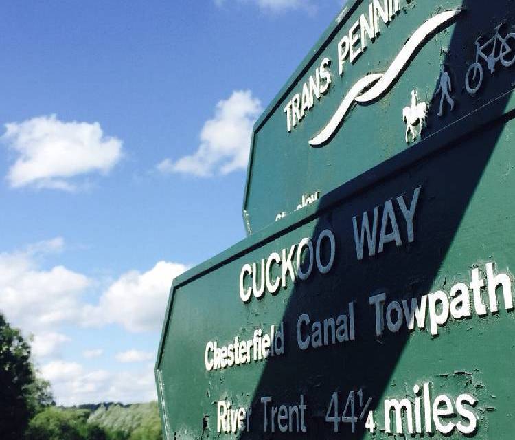 Preview of The Way of the Cuckoo