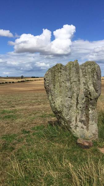 Preview of The standing stones at Duddo