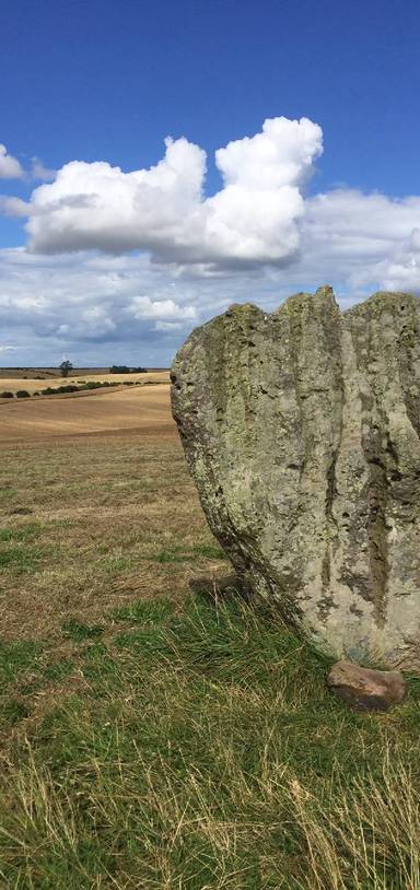 Preview of The standing stones at Duddo