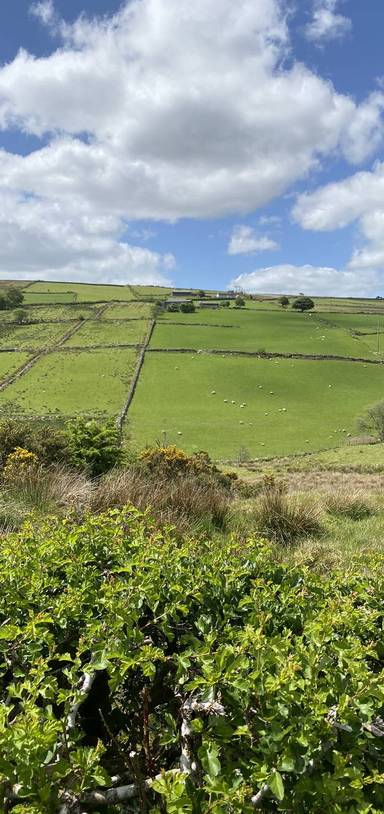 Preview of Plumbridge Clogherny Wedge Tomb
