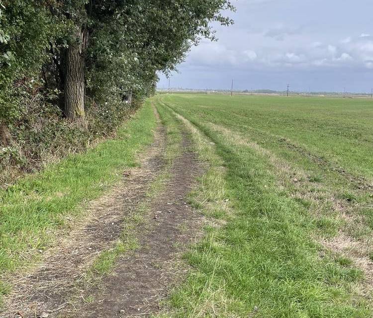 Preview of Ince Blundell Wander