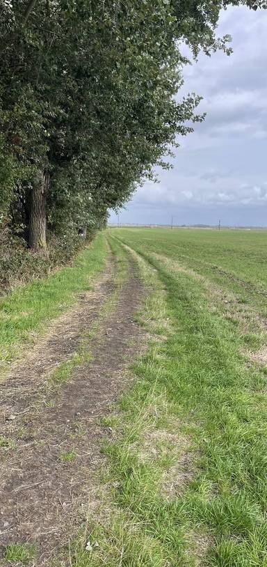 Preview of Ince Blundell Wander