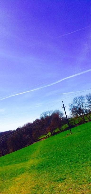 Preview of Esholt Woods, Guiseley