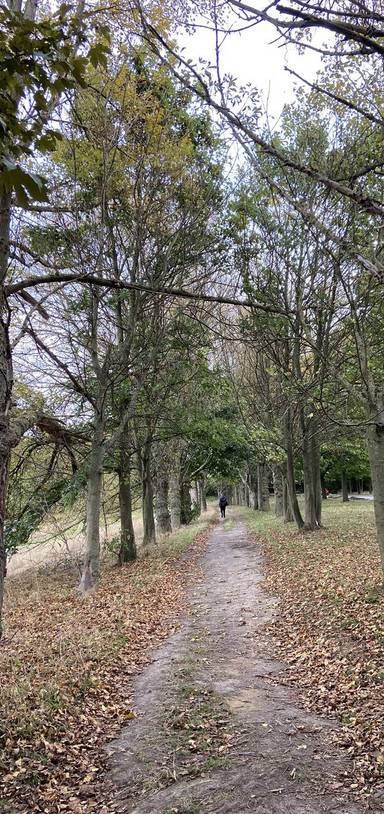 Preview of Wyke Beck Way Nature Trail