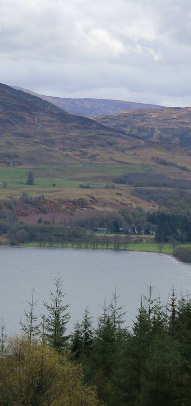 Preview of Loch Ness Forest Walk