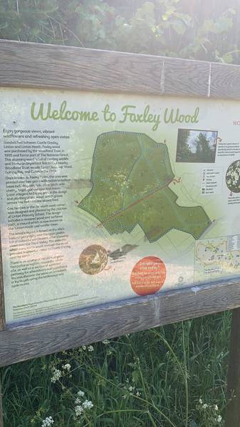Preview of Foxley Woods