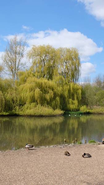 Preview of Witham to Whetmead Nature Reserve 