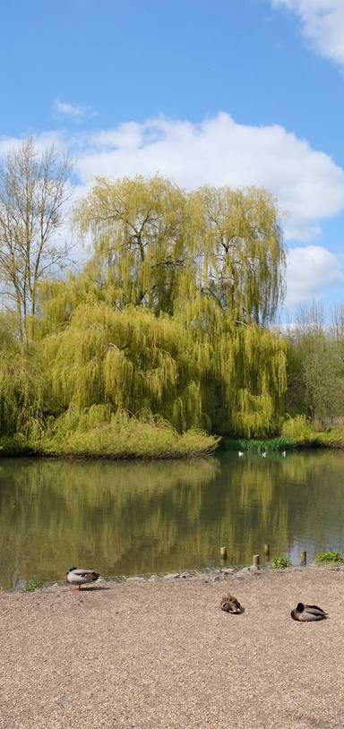 Preview of Witham to Whetmead Nature Reserve