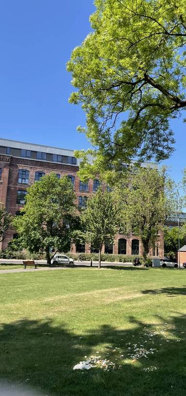 Preview of Community Stroll