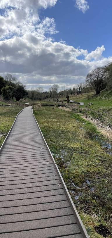 Preview of Lye Valley Loop