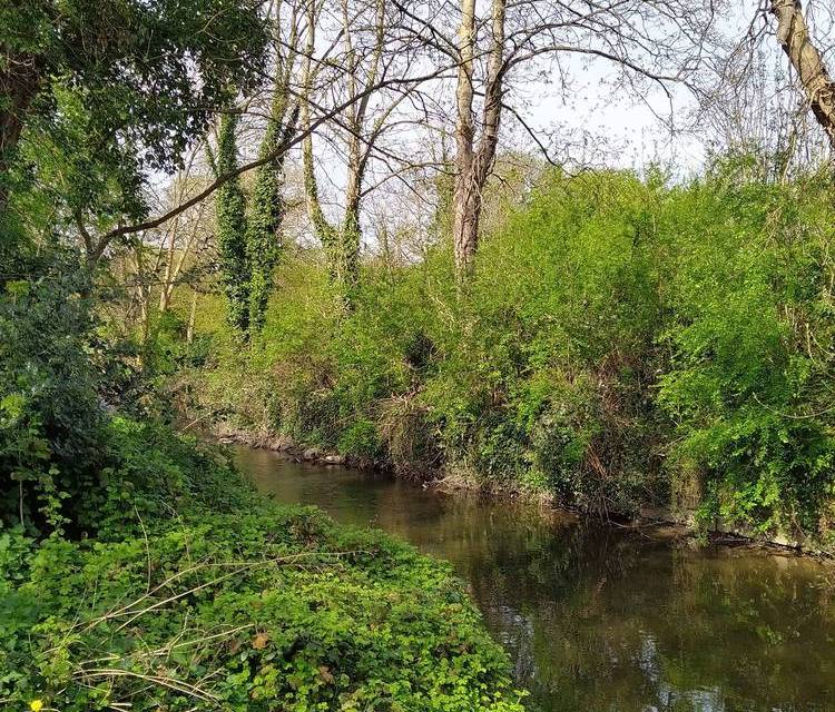 Preview of Kneller Gardens to Mill Road