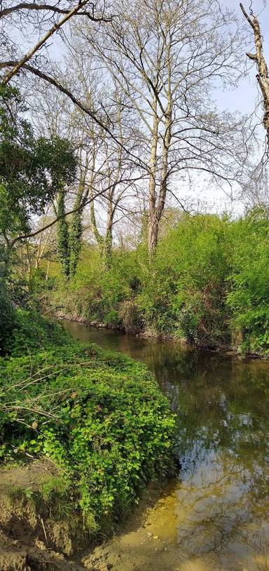 Preview of Kneller Gardens to Mill Road