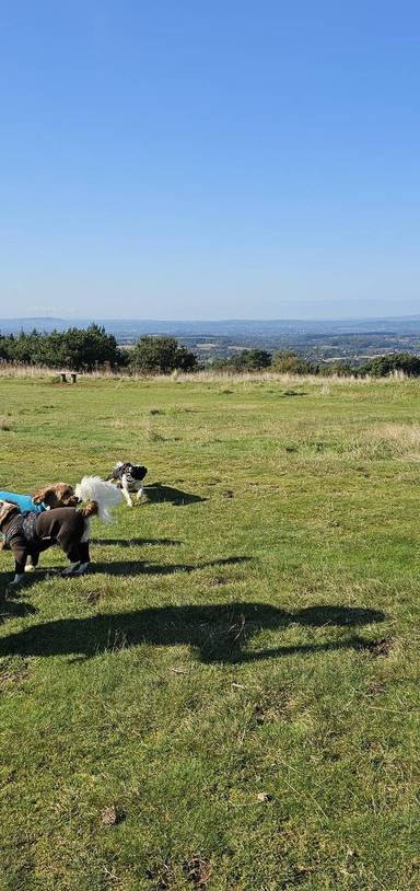 Preview of Long Clent 2