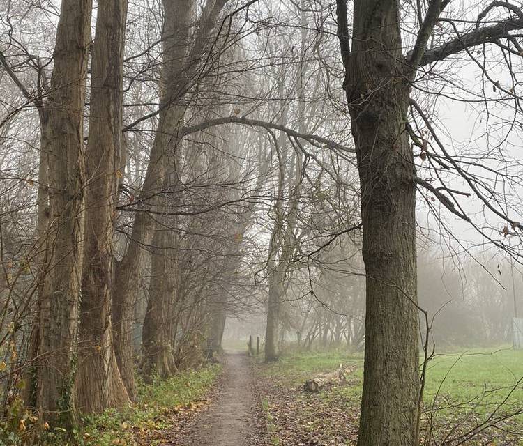 Preview of Mini Chinbrook Meadows Loop