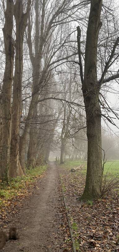 Preview of Mini Chinbrook Meadows Loop