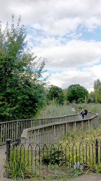 Preview of Enjoying nature and art in Dulwich 