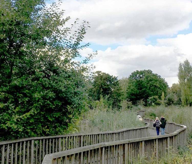 Preview of Enjoying nature and art in Dulwich