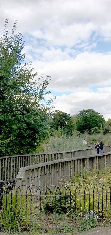 Preview of Enjoying nature and art in Dulwich