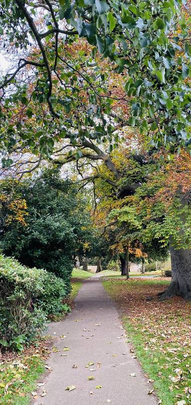 Preview of Elmhurst Park Warrior Trail