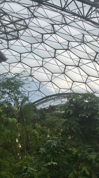 Preview of Eden project picture tour