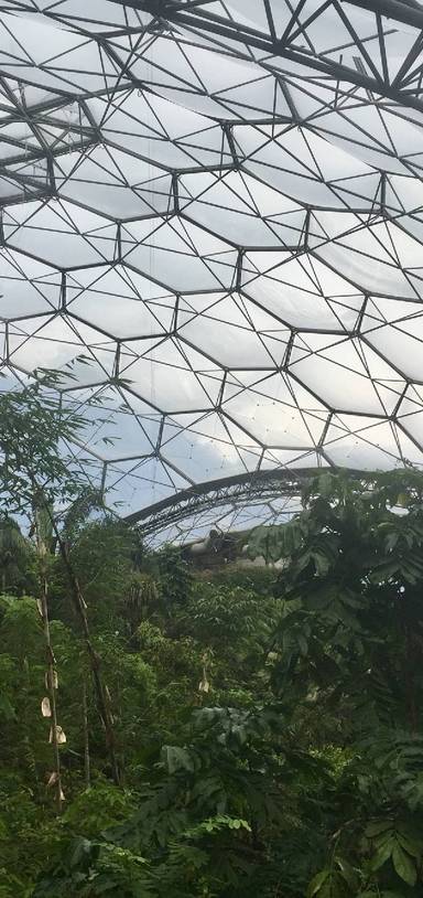 Preview of Eden project picture tour