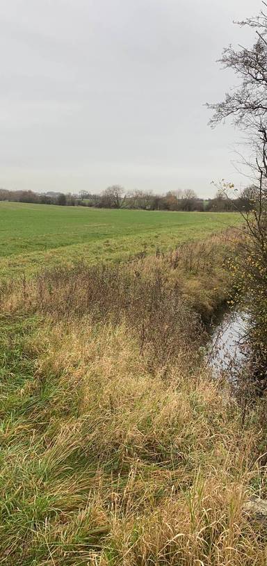 Preview of Circular walk Aldi via Billingley