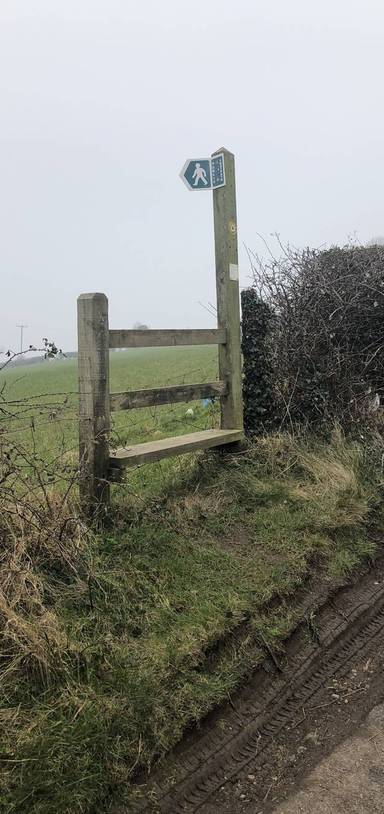 Preview of Norton Malreward Circuit