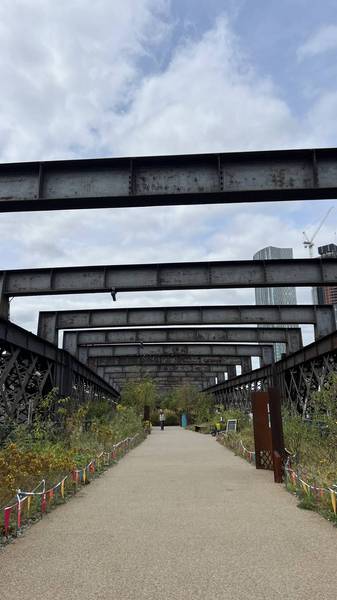 Preview of Castlefield Naturehood Trail