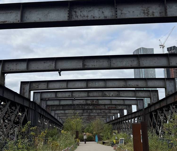 Preview of Castlefield Naturehood Trail