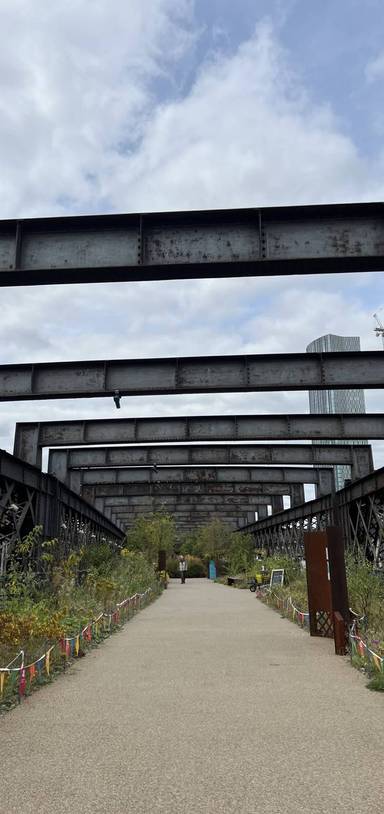 Preview of Castlefield Naturehood Trail