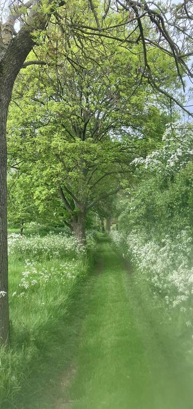 Preview of Vitamin N on Campus