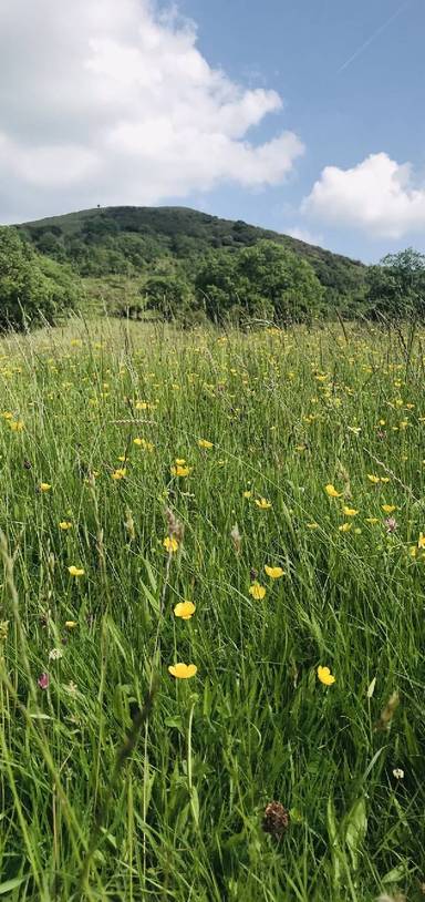 Preview of Valley views from Rebellion Knoll