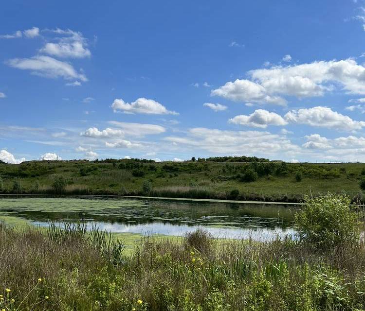 Preview of Beddington Farmlands walk