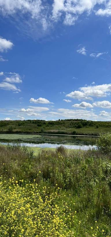 Preview of Beddington Farmlands walk