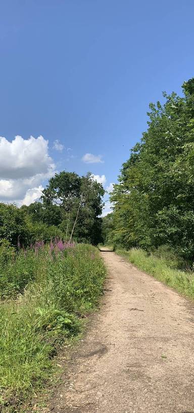 Preview of Woodland & Duck Ponds Longer Trail
