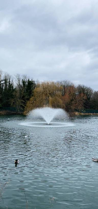 Preview of Bell Meadow to Hylands Park