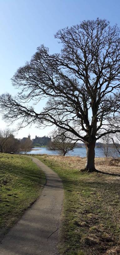 Preview of Loch and Grow Wild farm