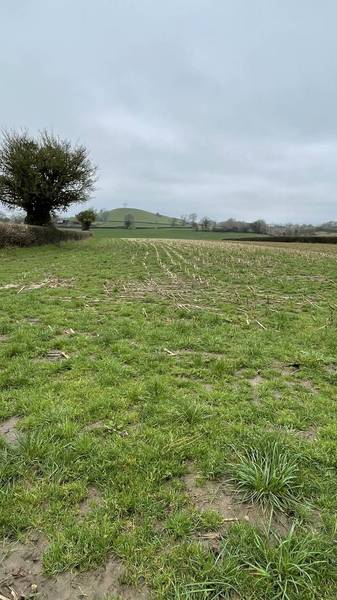 Preview of Timsbury Arable Circular
