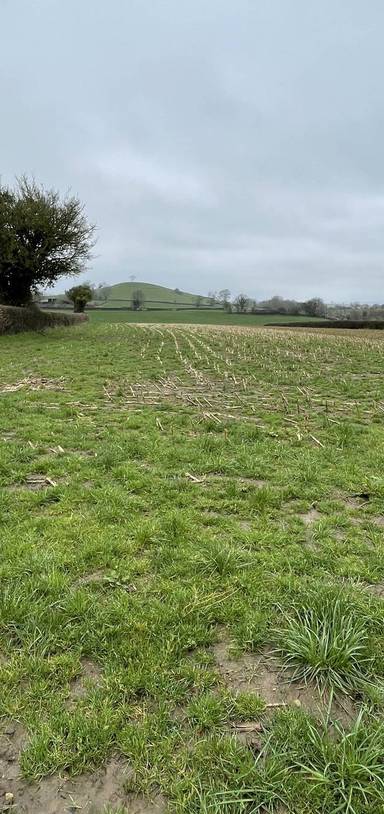 Preview of Timsbury Arable Circular