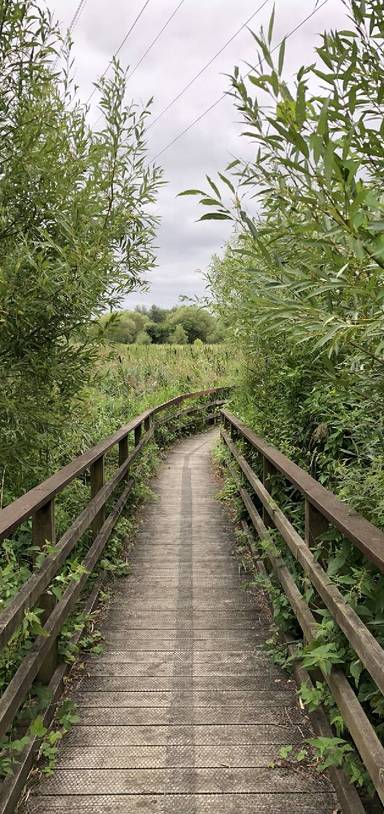 Preview of RSPB Rye Meads