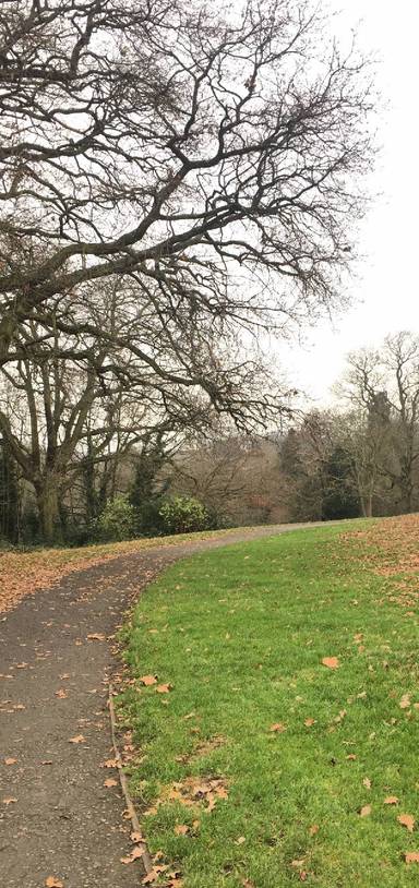 Preview of Alexandra Palace to Parkland Walk