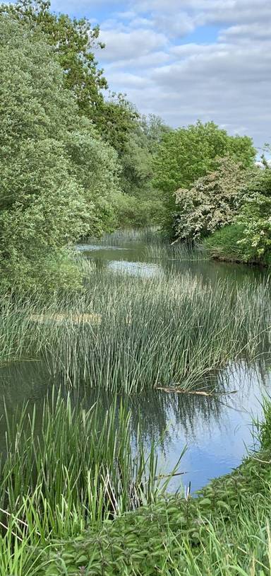 Preview of Stamford, Tinwell and River Welland