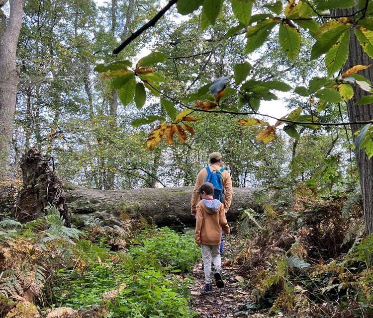 Preview of The Hatchlands Park Hike