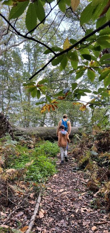 Preview of The Hatchlands Park Hike