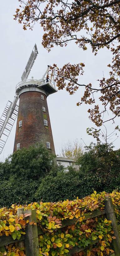 Preview of Woodbridge Architecture Tour